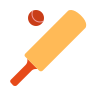 cricket